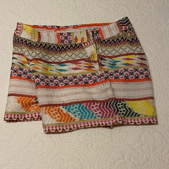 Embroidered Shorts - Picture 4 of 6